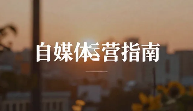 写作时如何选择实用资源?比较两种常见做法